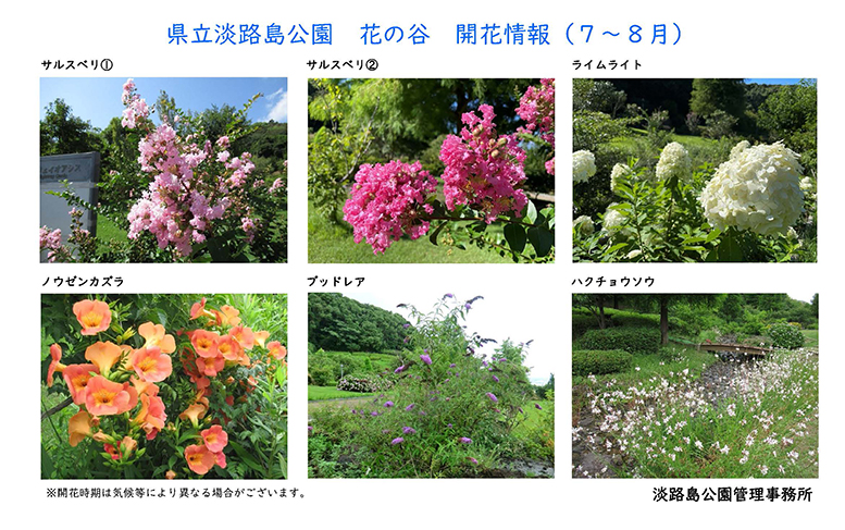 2024_7月～8月の開花情報【淡路島公園】