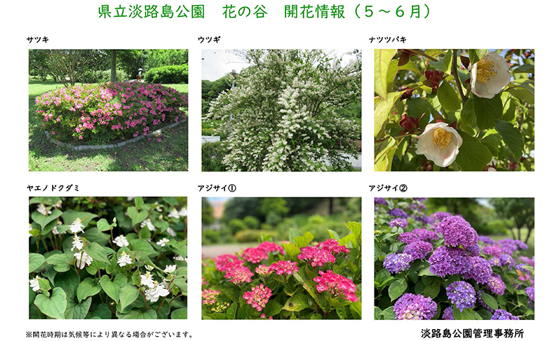 2025_5月～6月の開花情報【淡路島公園】