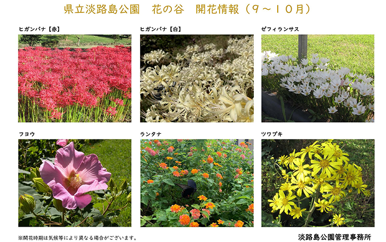 2025_9月～10月の開花情報_【淡路島公園】
